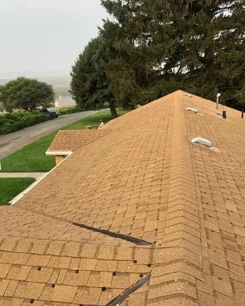 Shingle Roofing